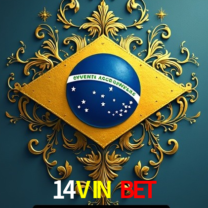 Interface Premium 14VIN BET